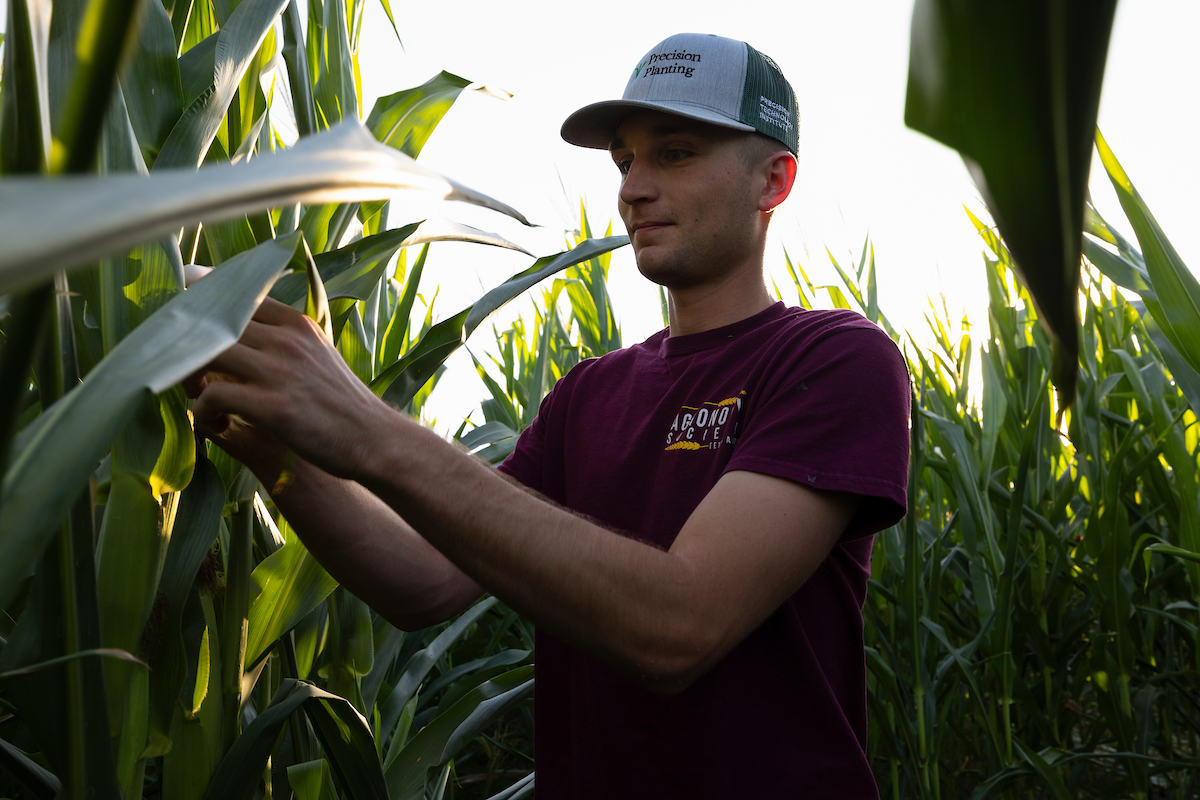 Agricultural Economics student working on applying knowledge outside of the classroom
